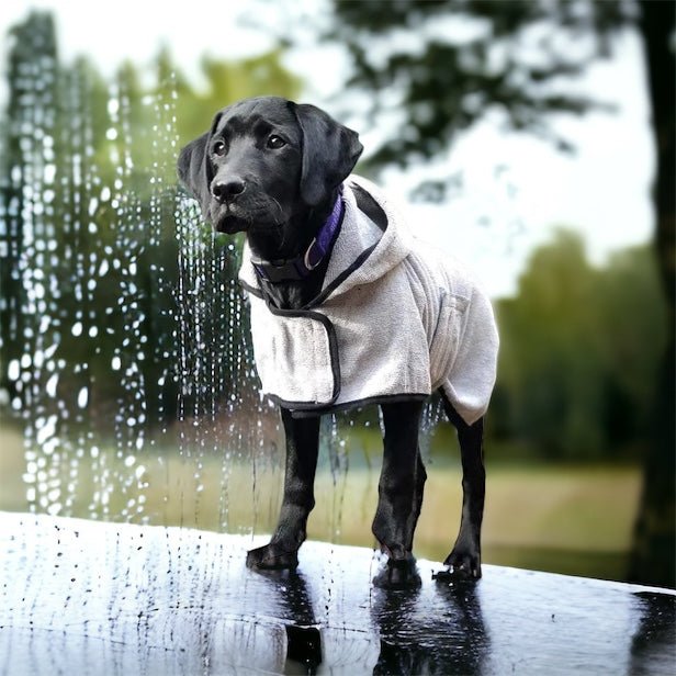 Bademantel für Hunde in verschiedene Größen erhältlich - Die StupsnaseBademantel für Hunde in verschiedene Größen erhältlichZubehörDie StupsnaseZubehör