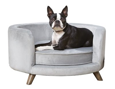 Enchanted Hundesofa Rosie Grau – Luxuriöses Samt - Hundebett mit Erhöhter Rückenlehne & Stabilen Holzfüßen für Kleine Hunde - Die StupsnaseEnchanted Hundesofa Rosie Grau – Luxuriöses Samt - Hundebett mit Erhöhter Rückenlehne & Stabilen Holzfüßen für Kleine HundeBETTEN/KÖRBE/KISSENDie StupsnaseBETTEN/KÖRBE/KISSEN