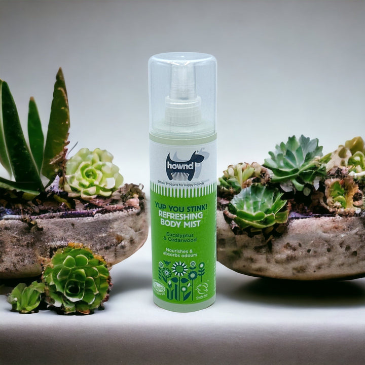 Erfrischendes Hundespray mit Eukalyptus und Zedernholz *Vegan - Die StupsnaseErfrischendes Hundespray mit Eukalyptus und Zedernholz *VeganshampooDie Stupsnaseshampoo