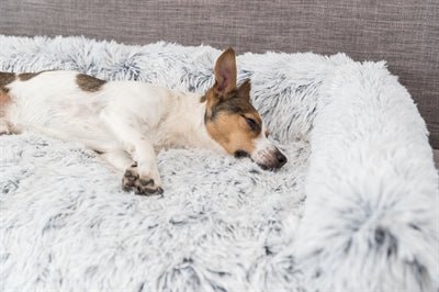 Harvey Möbelschutz Eckig Weiß/Schwarz – Kuscheliger Schutz für Ihr Sofa und Ihr Haustier - Die StupsnaseHarvey Möbelschutz Eckig Weiß/Schwarz – Kuscheliger Schutz für Ihr Sofa und Ihr HaustierBETTEN/KÖRBE/KISSENDie StupsnaseBETTEN/KÖRBE/KISSEN