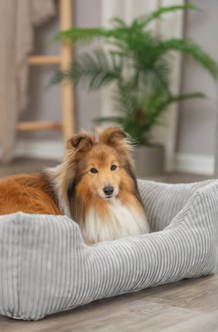 Trixie Hundekorb Vital Jonna Gerippter Samt Grau – Luxuriöses Orthopädisches Hundebett für Höchsten Komfort - Die StupsnaseTrixie Hundekorb Vital Jonna Gerippter Samt Grau – Luxuriöses Orthopädisches Hundebett für Höchsten KomfortBETTEN/KÖRBE/KISSENDie StupsnaseBETTEN/KÖRBE/KISSEN