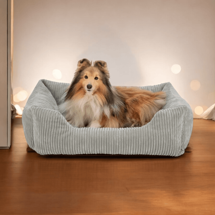 Trixie Hundekorb Vital Jonna Gerippter Samt Grau – Luxuriöses Orthopädisches Hundebett für Höchsten Komfort - Die StupsnaseTrixie Hundekorb Vital Jonna Gerippter Samt Grau – Luxuriöses Orthopädisches Hundebett für Höchsten KomfortBETTEN/KÖRBE/KISSENDie StupsnaseBETTEN/KÖRBE/KISSEN