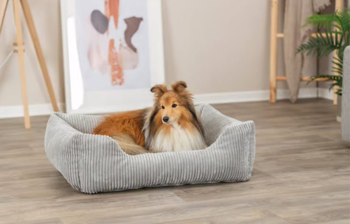 Trixie Hundekorb Vital Jonna Gerippter Samt Grau – Luxuriöses Orthopädisches Hundebett für Höchsten Komfort - Die StupsnaseTrixie Hundekorb Vital Jonna Gerippter Samt Grau – Luxuriöses Orthopädisches Hundebett für Höchsten KomfortBETTEN/KÖRBE/KISSENDie StupsnaseBETTEN/KÖRBE/KISSEN