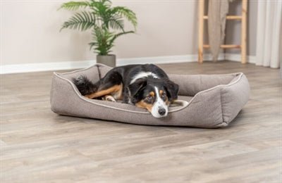 Trixie Hundekorb Vital Laurin Kantiger Sand – Orthopädisches Hundebett mit Memory - Effekt für maximalen Komfort - Die StupsnaseTrixie Hundekorb Vital Laurin Kantiger Sand – Orthopädisches Hundebett mit Memory - Effekt für maximalen KomfortBETTEN/KÖRBE/KISSENDie StupsnaseBETTEN/KÖRBE/KISSEN