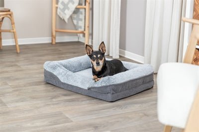 Trixie Vital Hundekorb Lino Grau – Orthopädisches Hundebett mit Memory Foam für kleine, mittlere und große Hunde - Die StupsnaseTrixie Vital Hundekorb Lino Grau – Orthopädisches Hundebett mit Memory Foam für kleine, mittlere und große HundeBETTEN/KÖRBE/KISSENDie StupsnaseBETTEN/KÖRBE/KISSEN